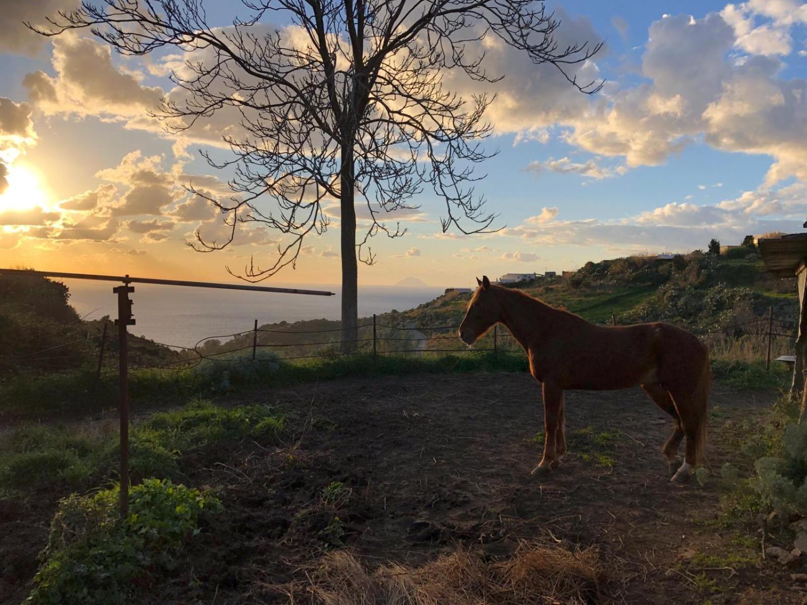 Agriturismo U Zu Peppino 리파리 외부 사진