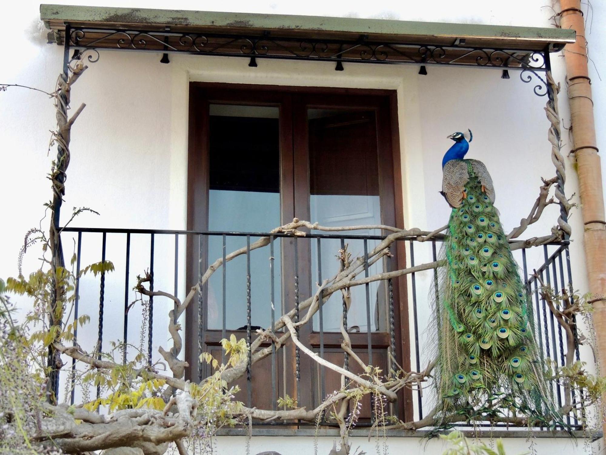 Agriturismo U Zu Peppino 리파리 외부 사진